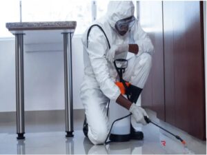 image deratiseur avec logo